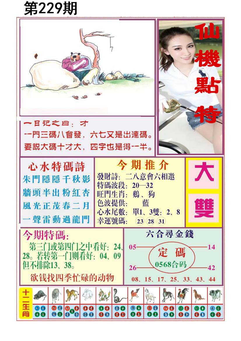 王中王论坛